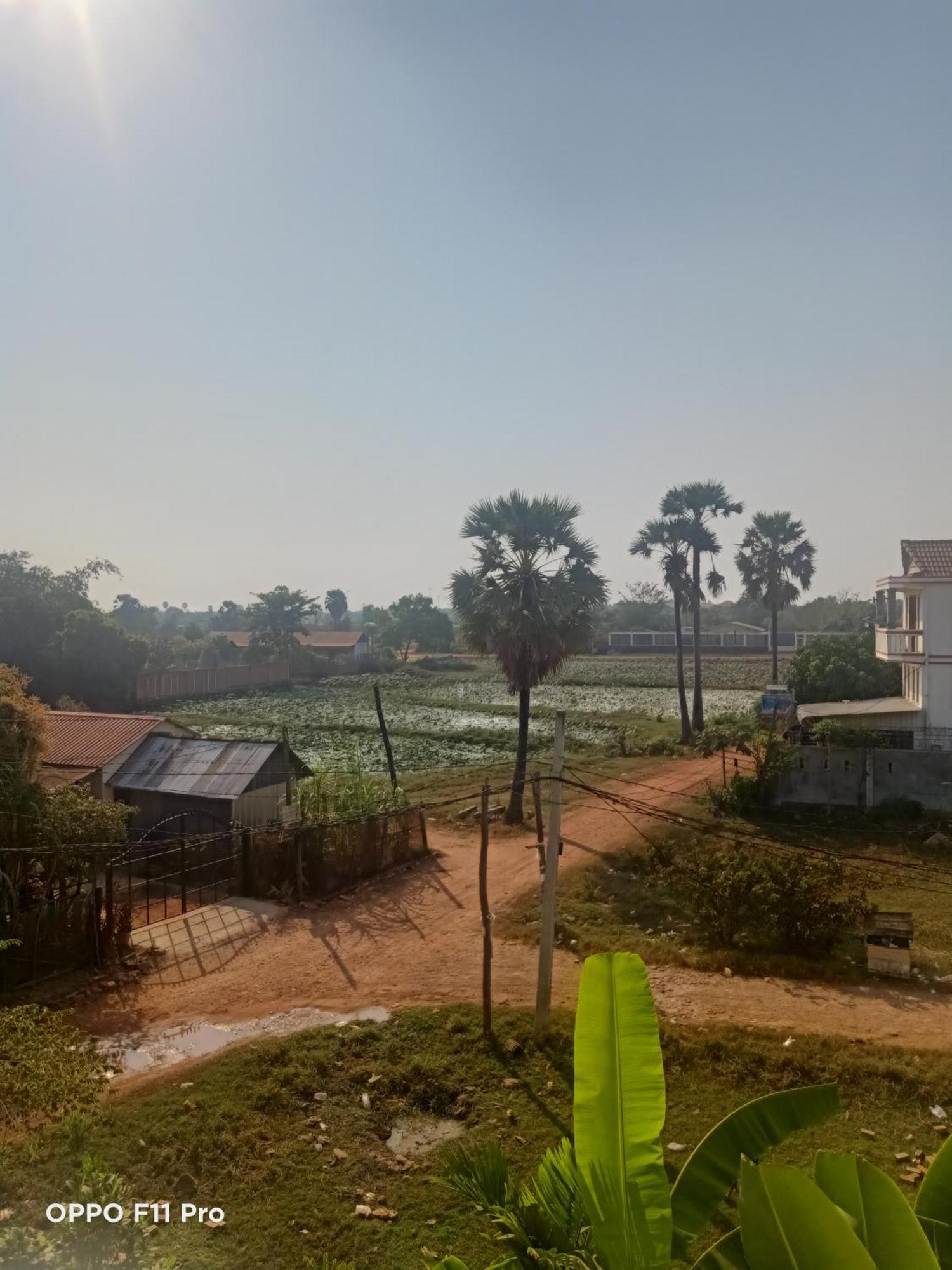 Homestay Yellow Natural House سيام ريب المظهر الخارجي الصورة