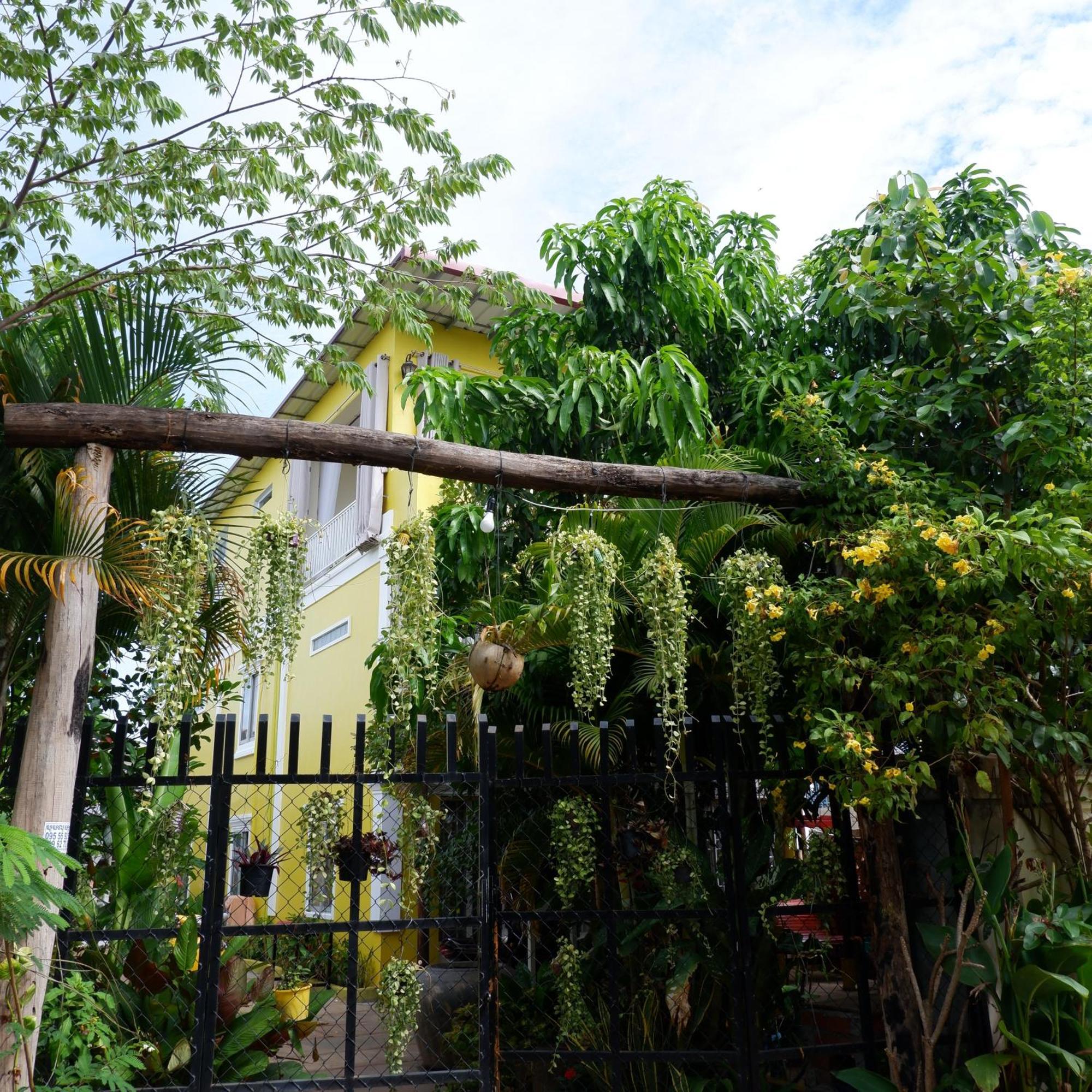 Homestay Yellow Natural House سيام ريب المظهر الخارجي الصورة