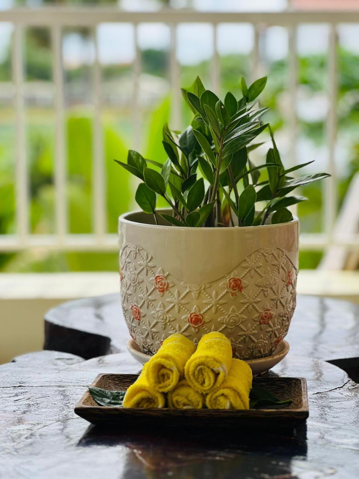 Homestay Yellow Natural House سيام ريب المظهر الخارجي الصورة